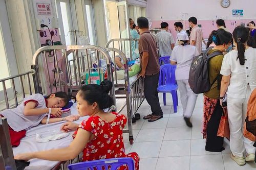 TP.HCM: Xác định tác nhân gây ngộ độc cho hơn 200 học sinh Trường Tiểu học Bình Quới Tây