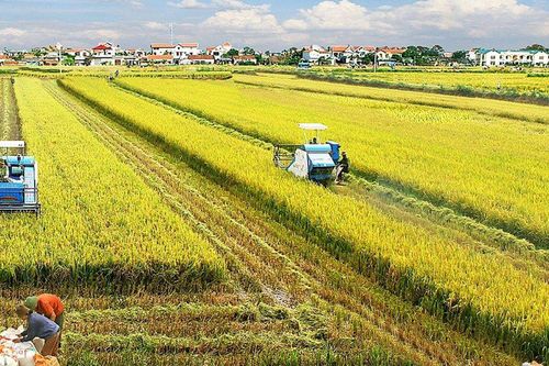 Phát triển nông nghiệp sinh thái ở Đồng bằng sông Cửu Long – Một chuyển dịch văn hóa tất yếu nhưng nhiều lực cản