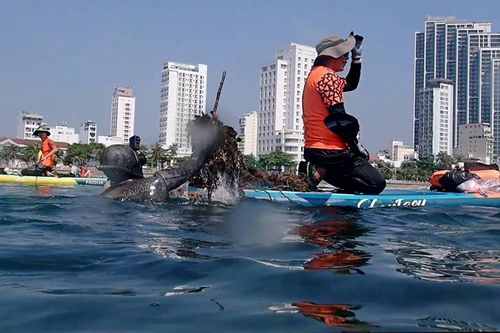 Phóng sự ảnh: 'Gỡ lưới ma, cứu san hô'
