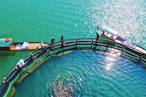 Đưa nuôi trồng thủy sản hồ chứa thành động lực tăng trưởng mới
