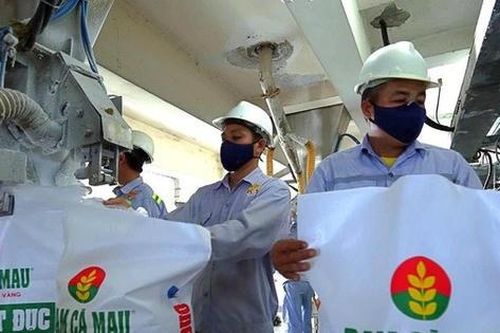 Quý I vượt xa kế hoạch, Đạm Cà Mau (DCM) thực hiện 63% chỉ tiêu lợi nhuận cả năm