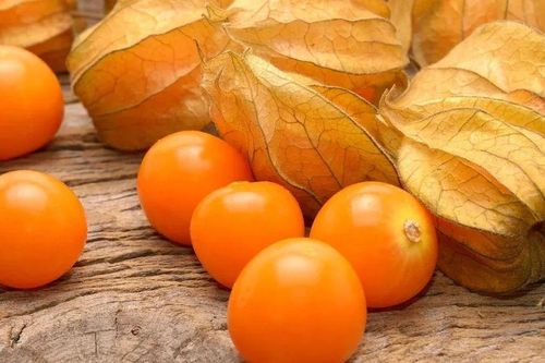 4 loại rau ít ai biết nhưng cực đáng trồng: Thu hoạch suốt mùa hè