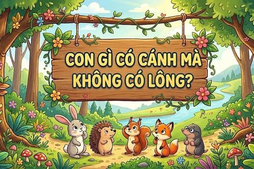 Con gì có cánh mà không có lông?