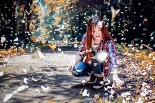Không nên bắt bướm, xua đuổi bướm bay lên để chụp ảnh ở Vườn quốc gia Cúc Phương