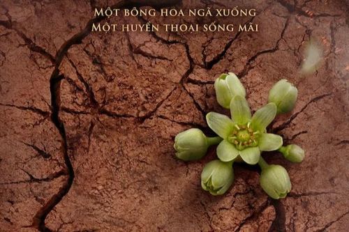 Hình tượng nữ anh hùng Võ Thị Sáu một lần nữa được tái hiện trên màn ảnh rộng