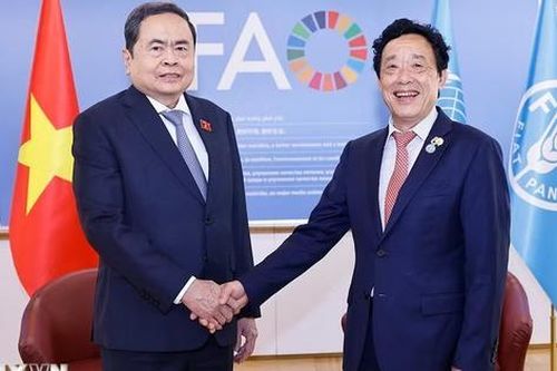 Thúc đẩy hợp tác nông nghiệp, an ninh lương thực giữa Việt Nam và FAO