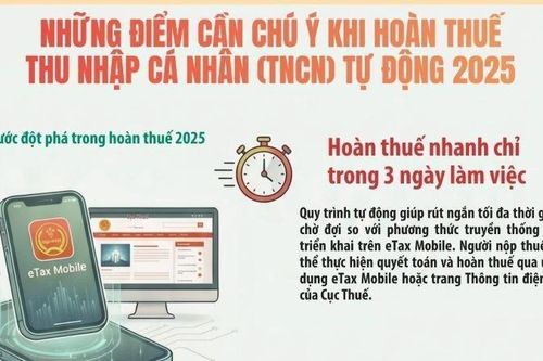 Những điểm cần chú ý khi hoàn thuế thu nhập cá nhân tự động năm 2025