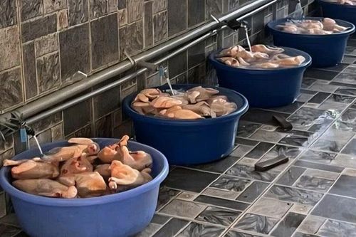 Cần làm rõ nguồn gốc thực phẩm được đưa vào bữa ăn học sinh nhiều trường tại xã Si Pa Phìn