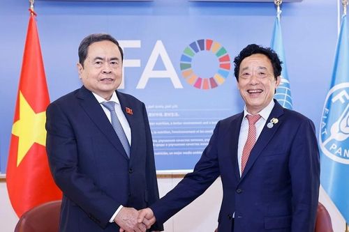 Nâng cao giá trị gia tăng và phát triển nông nghiệp xanh, bền vững, thông minh