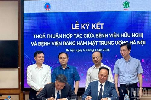 Hợp tác liên viện trong chẩn đoán, điều trị và chăm sóc răng miệng người cao tuổi