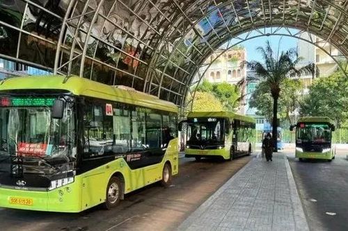 TPHCM: Thẩm tra đề xuất miễn vé 135 tuyến xe buýt, miễn phí hạ tầng cảng biển