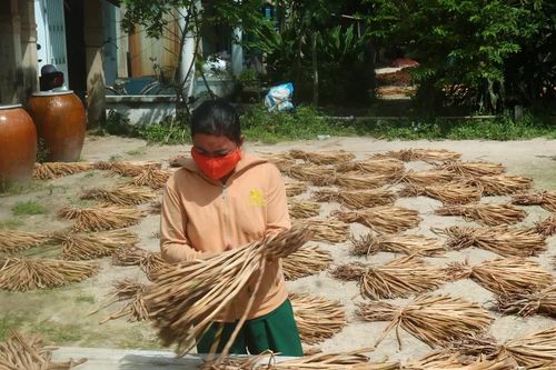 Vớt lục bình phơi khô, nông dân Đồng Tháp tăng thu nhập