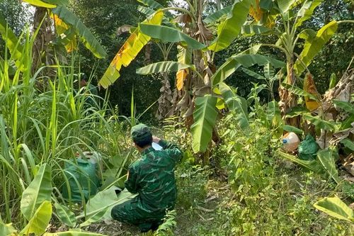 Phát hiện hơn 1.600 lít hóa chất nghi xăng RON 95 giấu trong vườn chuối