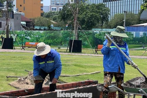 Mưu sinh giữa cái nắng đổ lửa ở TPHCM