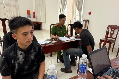Hai đối tượng rủ nhau trộm ô tô, gây tai nạn rồi trèo lên cây trốn