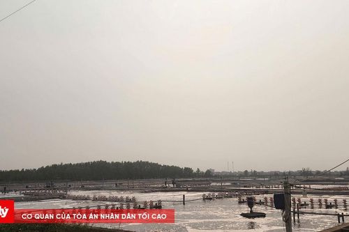 Xử phạt 320 triệu đồng công ty không có giấy phép môi trường