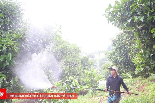 Thúc đẩy xử lý bao bì thuốc bảo vệ thực vật bền vững