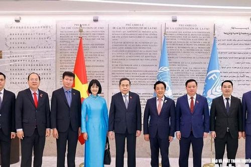 Chủ tịch Quốc hội Trần Thanh Mẫn gặp Tổng Giám đốc Tổ chức Nông nghiệp và Lương thực Liên hợp quốc