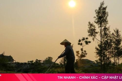 Người trốn nắng gắt, tôi trông nắng vàng