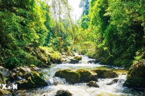 Xuyên vùng lõi đại ngàn Pù Huống vào thượng nguồn Khe Cố ở Nghệ An