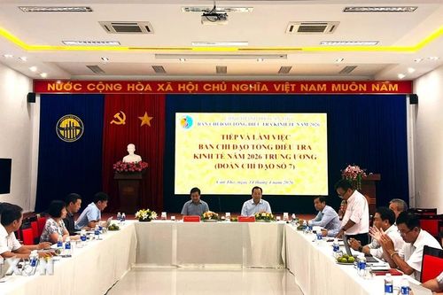 Gần 50% doanh nghiệp Cần Thơ chưa kê khai số liệu Tổng điều tra kinh tế 2026