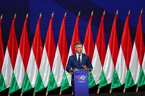 Hungary dưới thời Thủ tướng Magyar phát tín hiệu chính sách trái chiều với EU