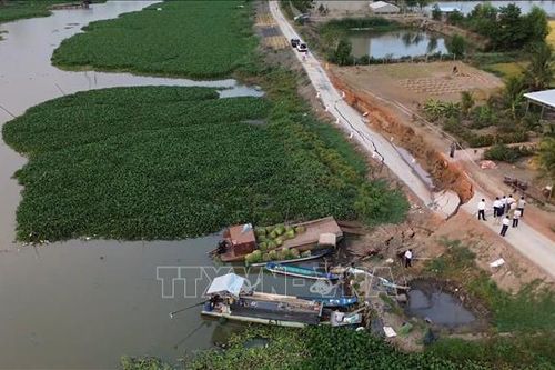 Khẩn trương thực hiện các giải pháp xử lý sạt lở đê sông Lò Gạch