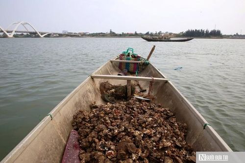 Nghề nguy hiểm ở Quảng Trị