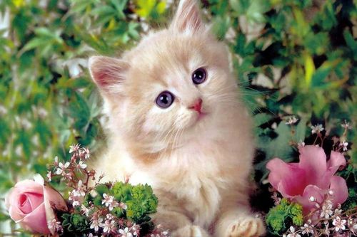 3 con giáp thoát vận đen ngoạn mục cuối tháng: Tưởng bế tắc ai ngờ lội ngược dòng