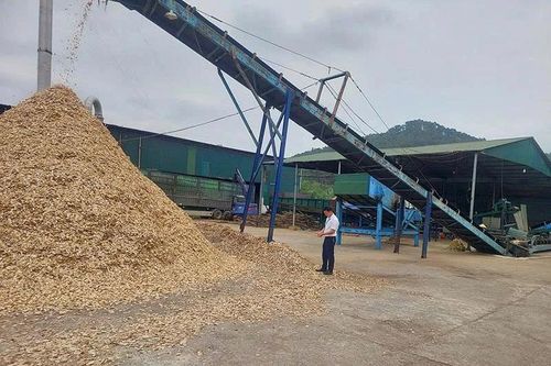 Xuân Du phát triển kinh tế lâm nghiệp, quản lý rừng bền vững