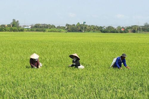 Châu Phong tìm cách đạt tăng trưởng 2 con số