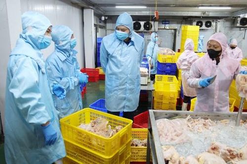 Bắc Ninh: Quản chặt cơ sở buôn bán, giết mổ động vật