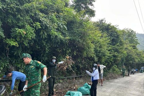 Phát dọn 2 tấn thực bì, phòng cháy rừng Cù Lao Chàm