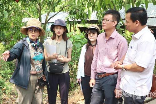 Xã Mỹ Thọ: Lãnh sự quán Nhật Bản tại TP. Hồ Chí Minh tham quan các mô hình nông nghiệp hữu cơ