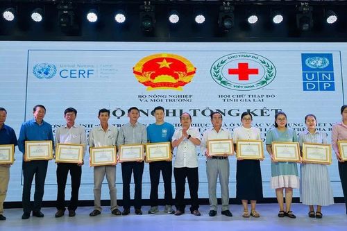 Hội Chữ thập đỏ tỉnh Gia Lai tổng kết chương trình hỗ trợ người dân vùng lũ