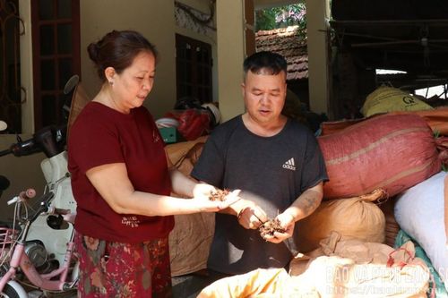 Tạo sinh kế bền vững