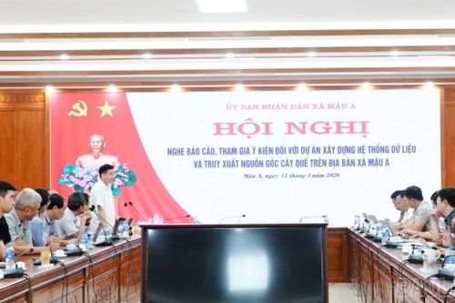 Mậu A: Đẩy mạnh chuyển đổi số thông qua dự án truy xuất nguồn gốc cây quế