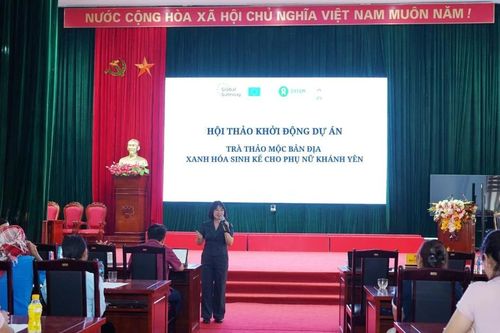 Khánh Yên khởi động dự án 'Trà thảo mộc bản địa - xanh hóa sinh kế cho phụ nữ'