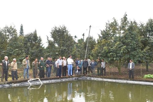 Giải pháp cho cây trồng 'vượt hạn'