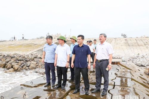 Đồng chí Phó Chủ tịch UBND tỉnh Trần Anh Dũng kiểm tra công tác khắc phục các điểm sạt, sụt trên tuyến đê, kè biển Hải Thịnh III