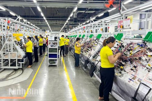 Ninh Bình chủ động ứng phó biến động quốc tế, giữ vững ổn định kinh tế - xã hội