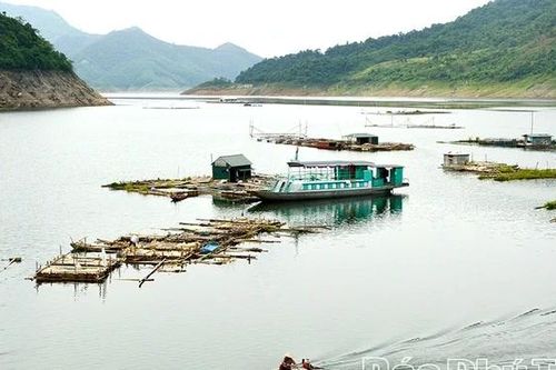 'Làng cá nổi' đổi thay đời sống người dân Đà Bắc