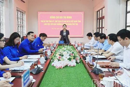 Phó Bí thư Tỉnh ủy Bùi Thị Minh làm việc với Ban Thường vụ Tỉnh đoàn
