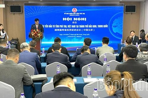 Xúc tiến đầu tư, mở rộng hợp tác chiến lược với doanh nghiệp Trung Quốc
