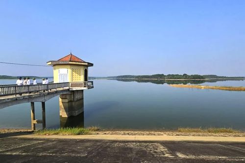 Chủ động phương án chống hạn cho lúa vụ hè-thu