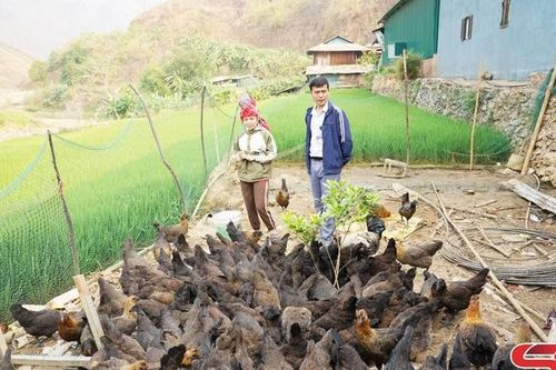 Mô hình nuôi gà đen ở Long Hẹ
