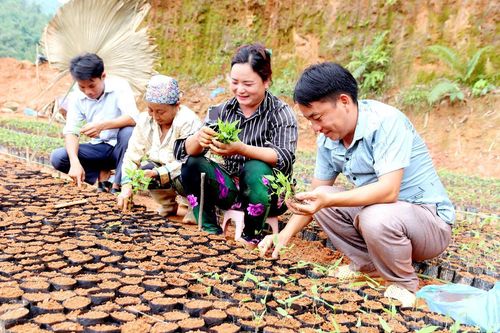 'Lũy đá' trong lòng Dân - Bài 1: Gian truân xóa 'vùng trắng' đảng viên