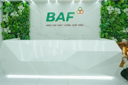 BAF đệ trình phương án chi trả cổ tức và phát hành cổ phiếu thưởng với tỷ lệ 20%