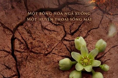 Nữ anh hùng Võ Thị Sáu lên màn ảnh rộng
