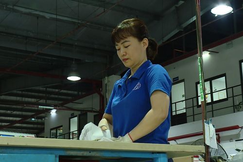 Phụ nữ Thủ đô giỏi việc nước, đảm việc nhà